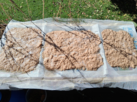 Pilzleder Workshop 1